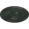 Ekena Millwork Dauphine Ceiling Medallion (Canopies up to 13 1/4"), 33 7/8"OD x 1 3/8"P, Painted Turtle Crackle CM33DAPTC - alternate 3